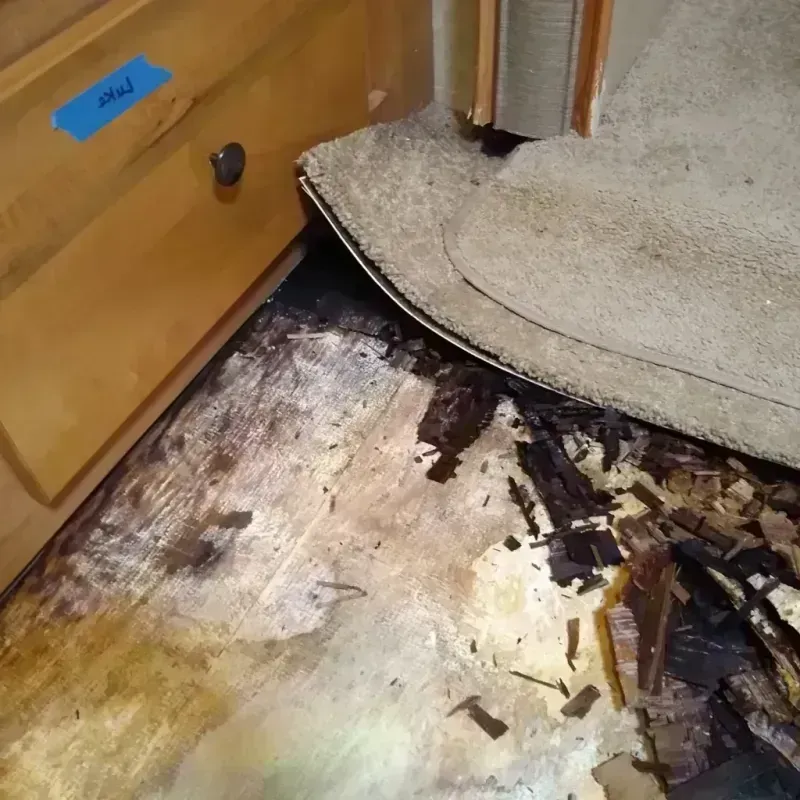 Best Wood Floor Water Damage Service in Delaware County, IA